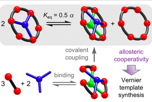 2020_jacs_bols_allosteric_2020.png